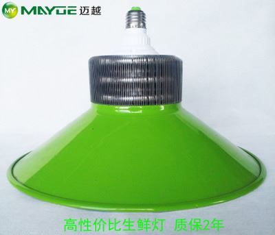 工礦燈/生鮮燈套件：專業豬肉燈外殼，提升生鮮展示照明效果