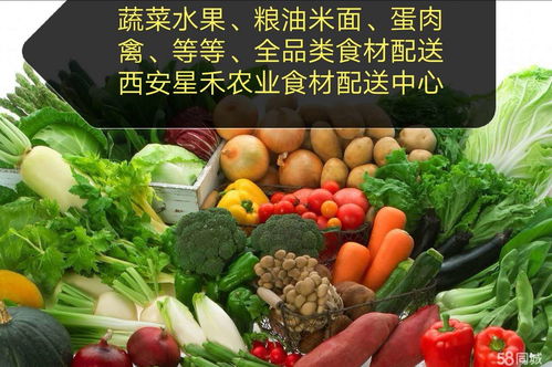 食堂送菜配送蔬菜公司 為餐飲行業(yè)提供高效、新鮮的蔬菜供應
