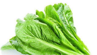 廣州大型蔬菜配送公司 專業(yè)批發(fā)水果農副產品與食堂承包服務