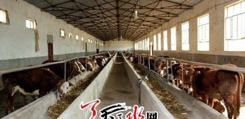 調結構提品質 天水市特色主導產業提速發展 肉制品及副產品加工