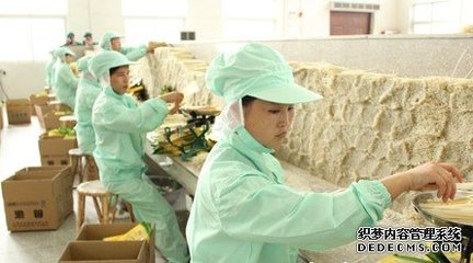 肉制品及農副產品深加工項目可行性研究報告