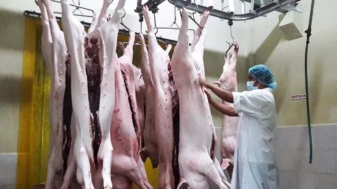 筑牢安全防線 肉制品加工廠的衛(wèi)生設施與管理實踐