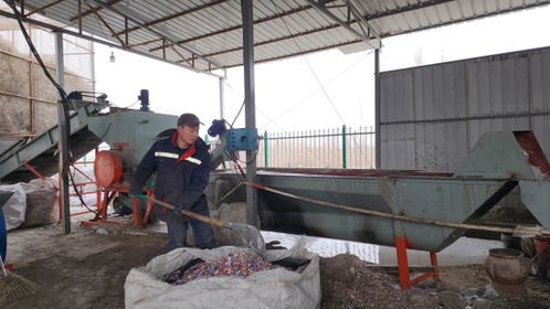 庫爾勒廢舊物資回收加工產(chǎn)業(yè)園吹響春節(jié)復(fù)工集結(jié)號(hào)